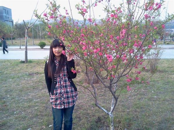 小学数学家教李老师