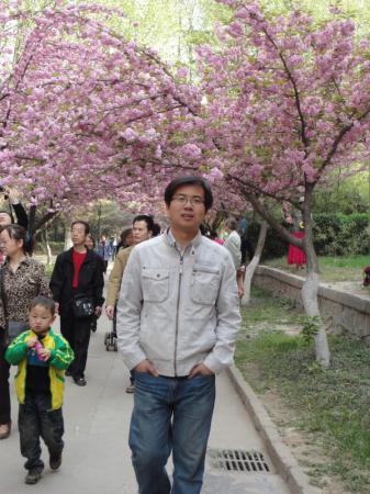 高中数学家教黄勇攀