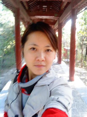 初中物理家教杨老师